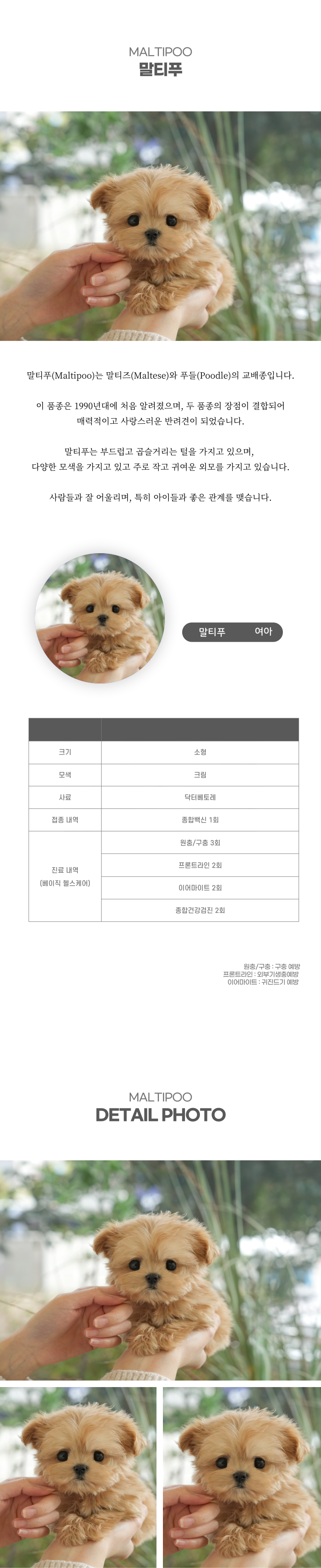 말티푸_상세이미지_2